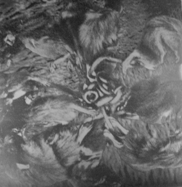 Cranioclast : Rats Can Coil Cats Can Roil (12")